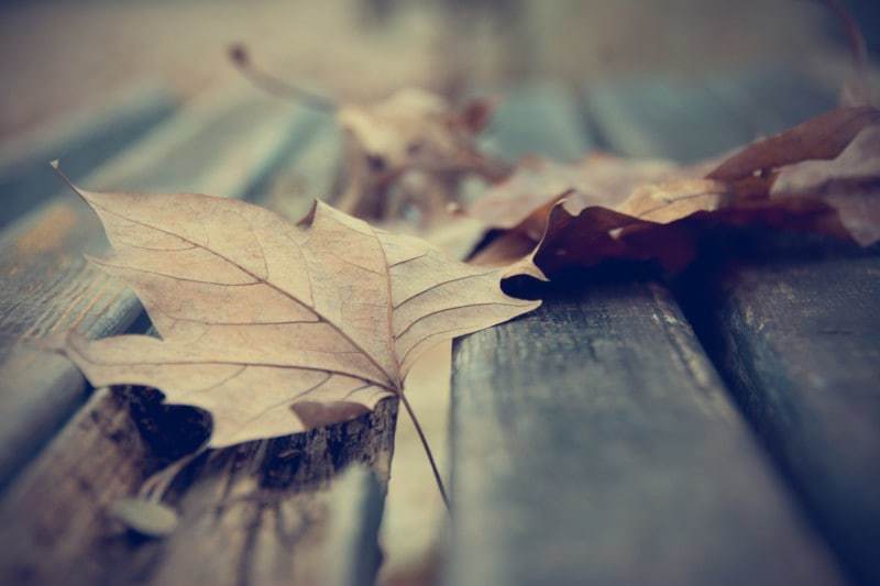 How the Seasons Affect Your Body